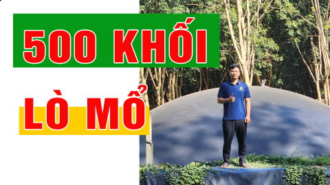 500 khối | Hệ thống túi biogas lò mổ – Giải pháp xanh cho xử lý chất thải và tái tạo năng lượng tại Việt Nam