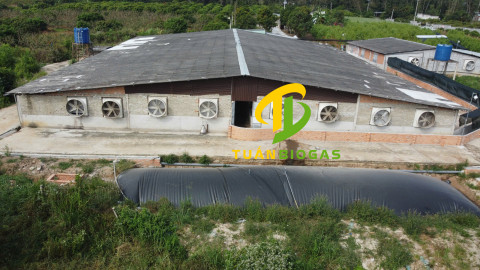 Kỹ thuật đào hố lắp túi Biogas chuẩn từ chuyên gia Tuấn Biogas