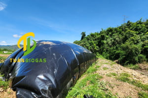 Túi Biogas Bình Phước: Giải Pháp Chống Đẩy Nổi, Xử Lý Nước Thải Trang Trại Heo Toàn Diện