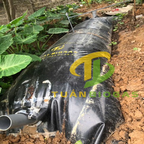 TÚI BIOGAS VUÔNG 8 KHỐI