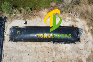 Hình ảnh thực tế túi biogas 30 khối căng phồng tại trại heo