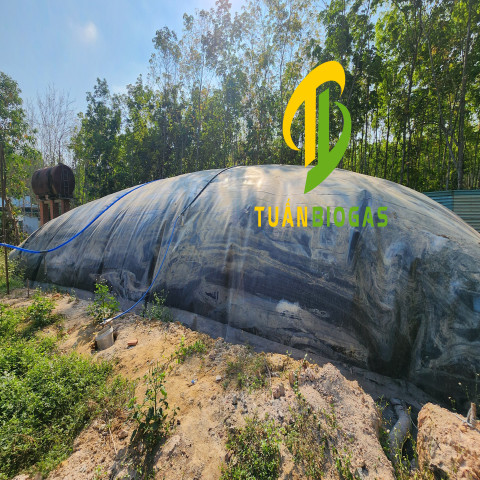 TÚI BIOGAS TRẠI VỊT 700 KHỐI