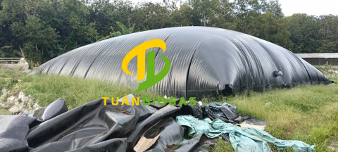 Túi Biogas Phú Thọ | Giải Đáp 5 Câu Hỏi "Sống Còn" Bà Con Chăn Nuôi Cần Biết.