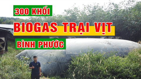 Túi biogas Bình Phước | Bảng giá túi biogas Bình Phước.
