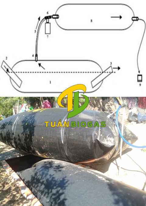 Túi Biogas Tiền Giang và Bến Tre: Giải Đáp 5 Thắc Mắc Lớn Nhất Của Bà Con Chăn Nuôi