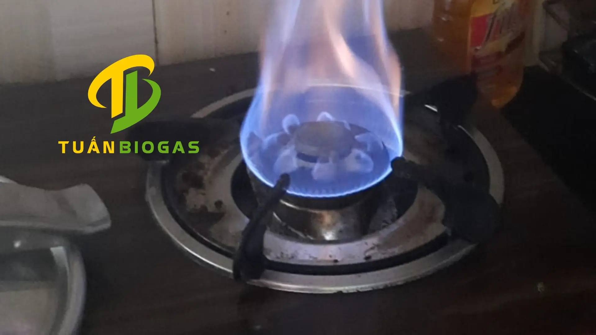 ngon-lua-bep-gas-sinh-hoc-biogas-mau-xanh