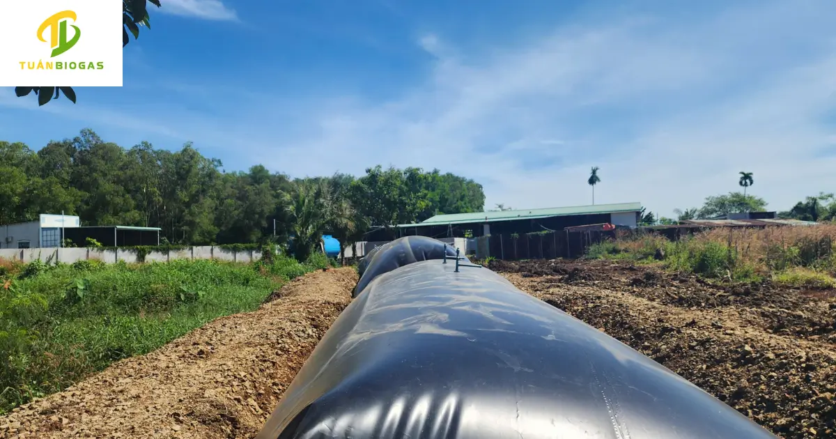 Hệ thống 2 túi biogas trang trại 500 khối