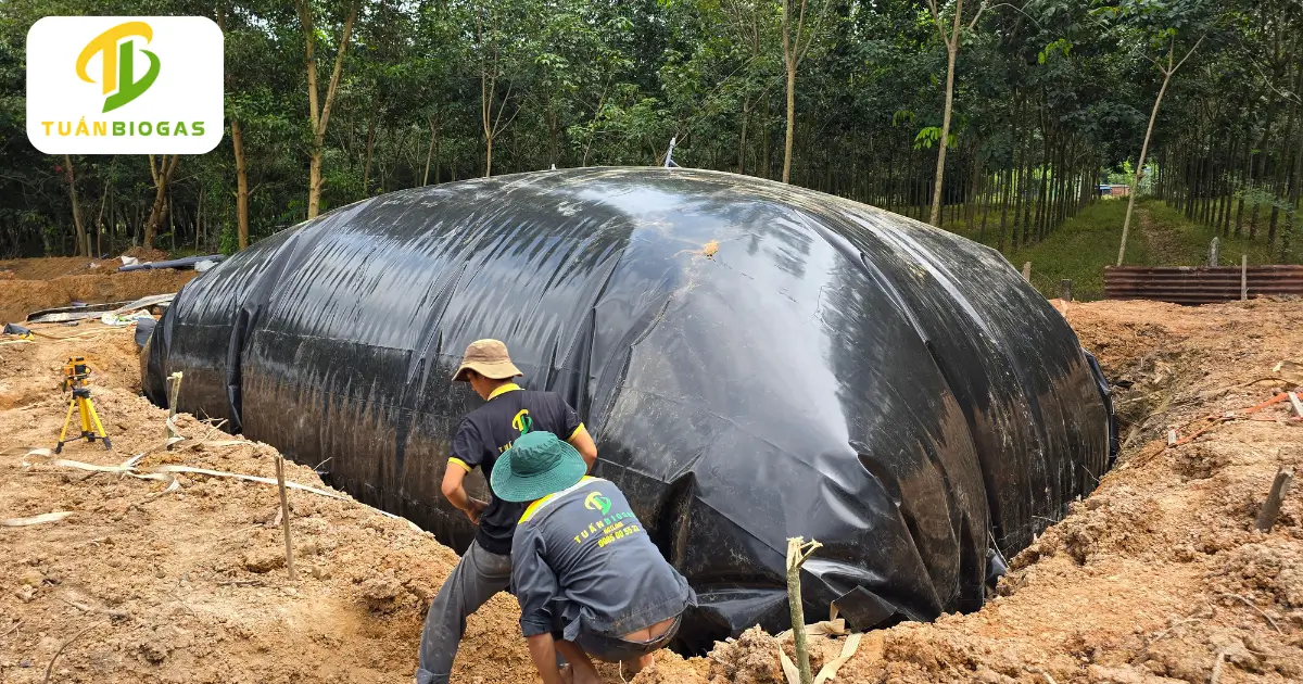 Kỹ thuật viên Tuấn Biogas trực tiếp kiểm tra và xử lý hố phân tại công trình trang trại