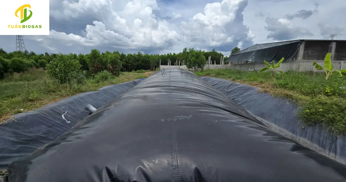 Toàn cảnh túi biogas tròn hơn 300 khối chứa tại trang trại chăn nuôi heo Nghệ An