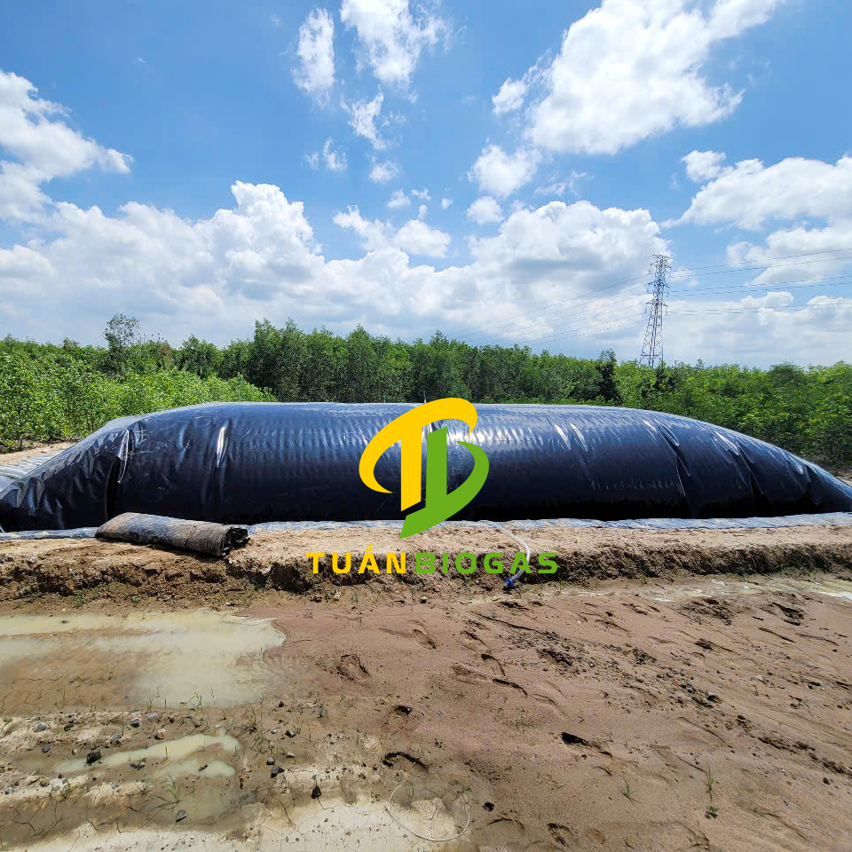 Trang trại chăn nuôi heo đã sử dụng túi biogas Tuấn Biogas nhiều năm