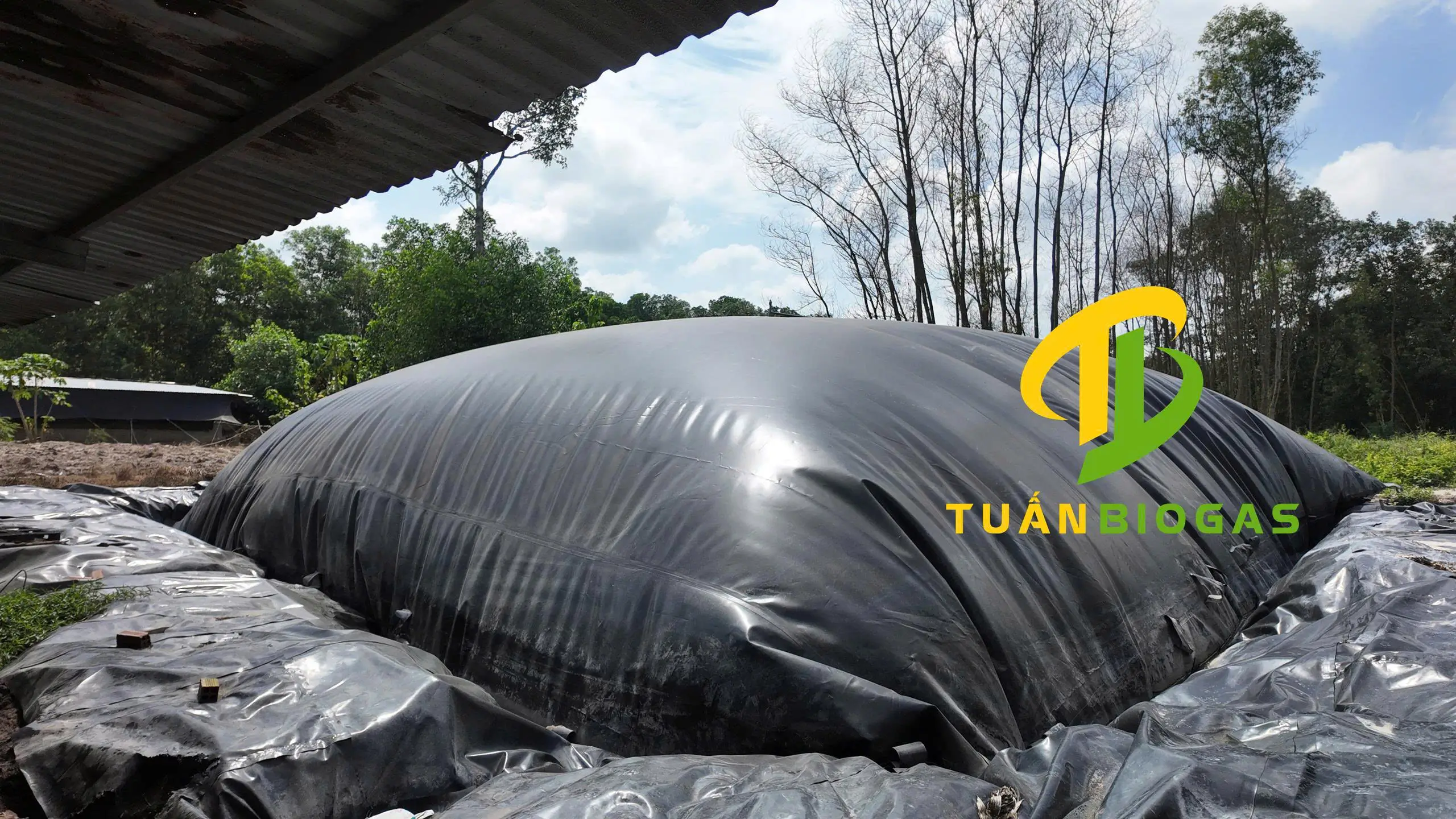 Bạt HDPE nguyên sinh 100% quyết định độ kín khí và hiệu quả khử mùi của túi biogas