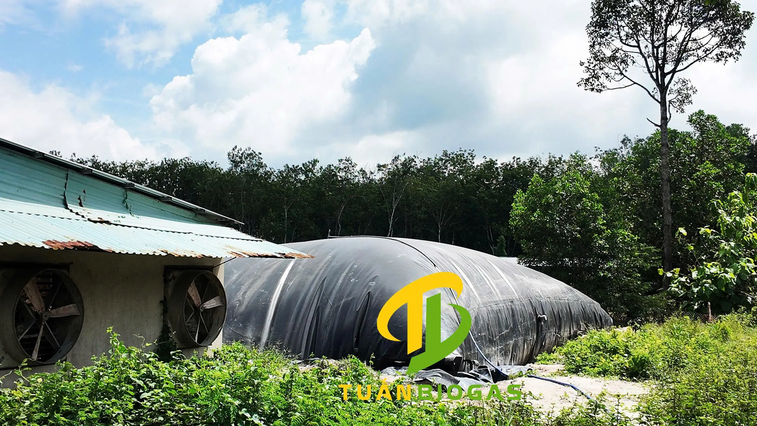 Túi biogas dung tích phù hợp cho trang trại nuôi 50 con heo
