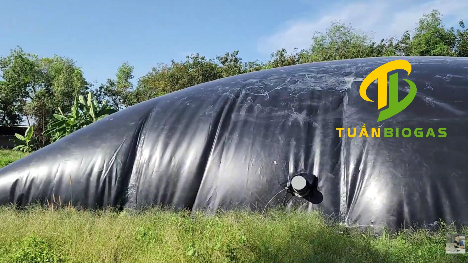 dau-ong-hut-can-bun-phi-200-tui-biogas-trang-trai