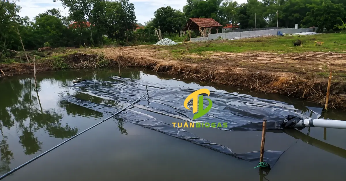 Túi biogas được kéo nhẹ nhàng từ trên bờ xuống mặt ao sau khi đấu nối hoàn chỉnh