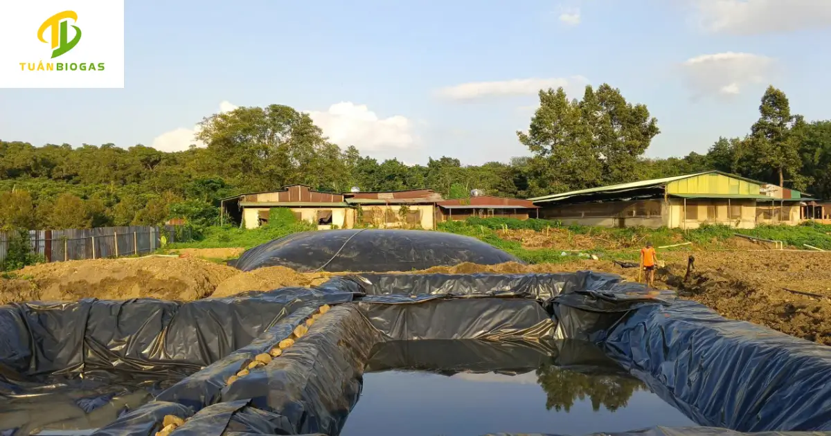 Kích thước hố đào để lắp đặt túi biogas 50 khối cho trang trại 60-70 con heo