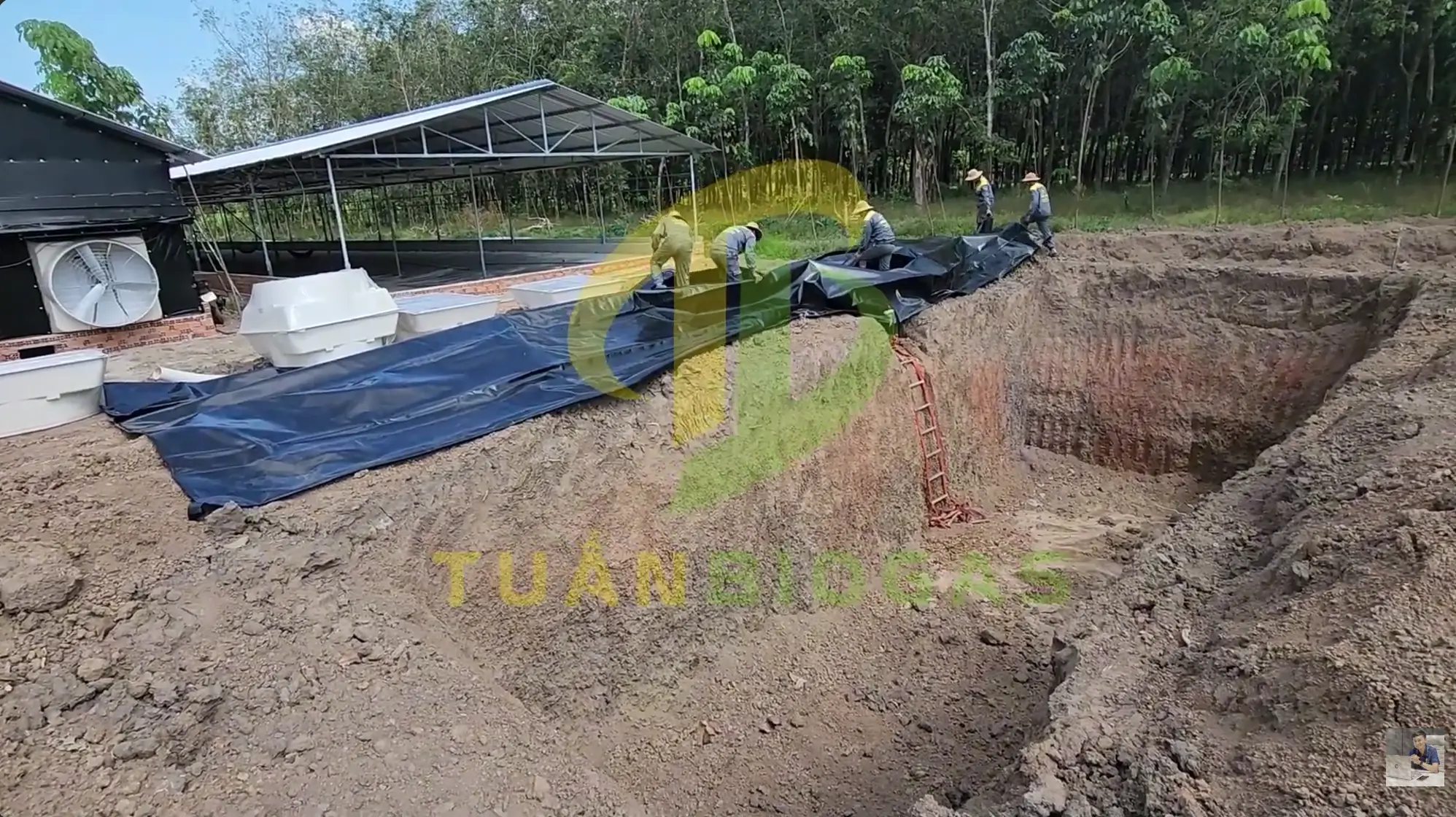 ky-thuat-trai-bat-lot-ho-biogas-chan-nuoi