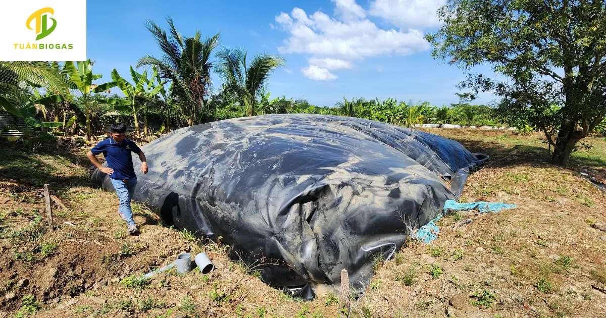 Kỹ thuật viênTuấn Biogas nghiệm thu túi biogas tròn trang trại cùng chủ trại tại Bình Dương
