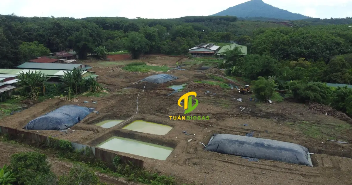 Hệ thống túi biogas module lắp đặt song song cho trang trại chăn nuôi quy mô lớn