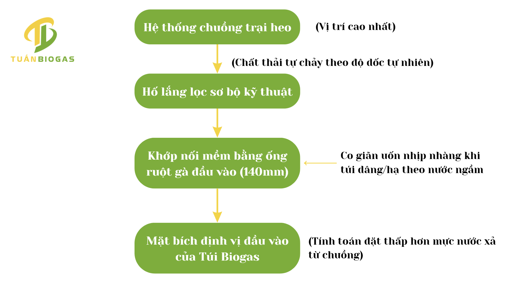 quy-trinh-ky-thuat-tui-biogas