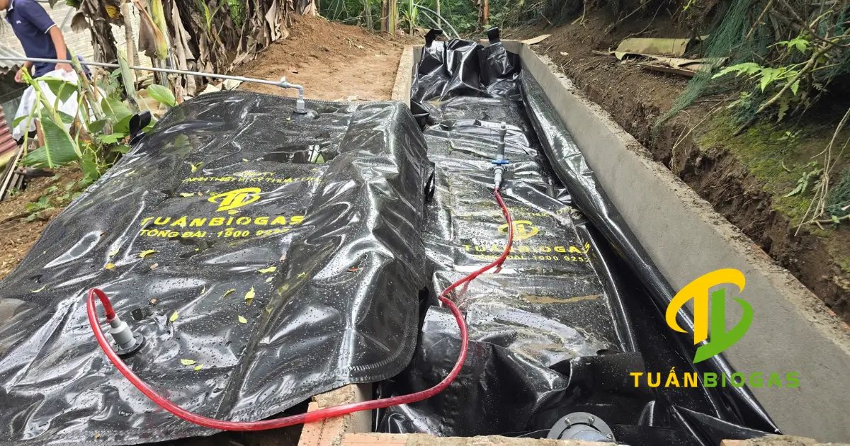 du-an-tui-biogas-dien-bien-chinh-hang
