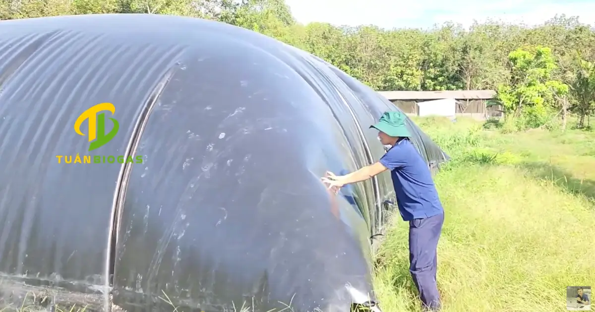 Kỹ thuật viên kiểm tra độ căng phồng và áp suất khí của túi biogas tại trang trại