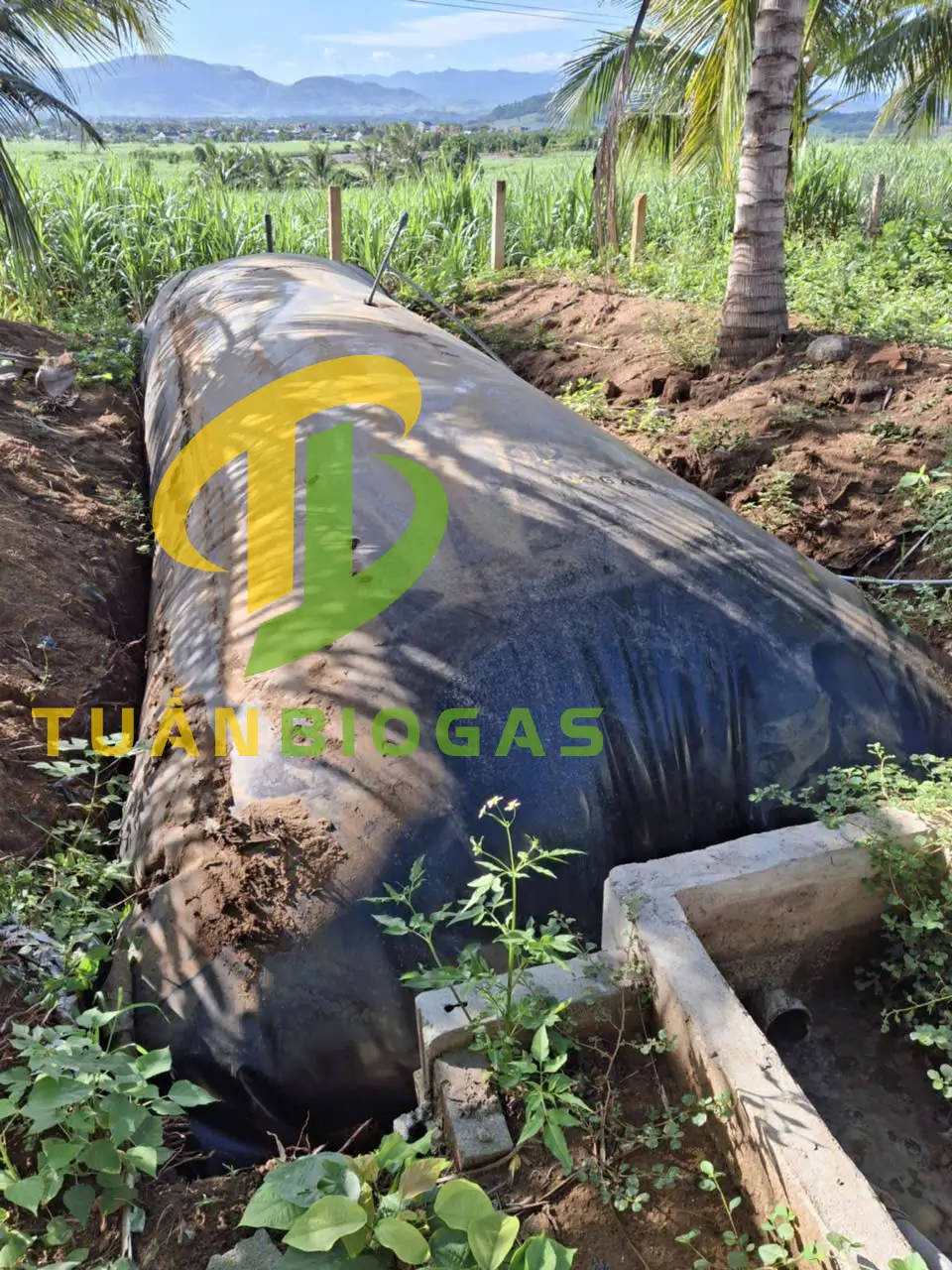 Toàn cảnh túi biogas tròn nông hộ 8 khối xử lý chất thải chăn nuôi căng phồng khí