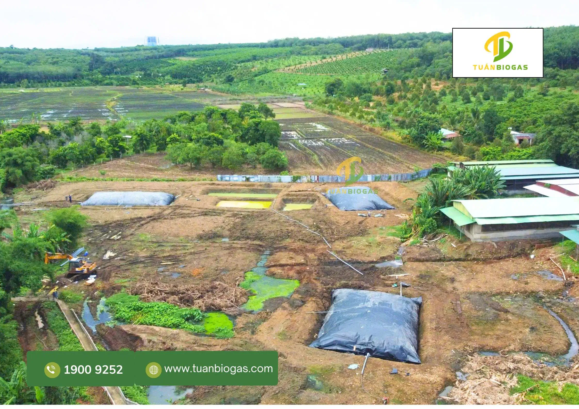 Lắp đặt túi biogas trang trại heo liên hoàn Tuấn Biogas Bình Phước