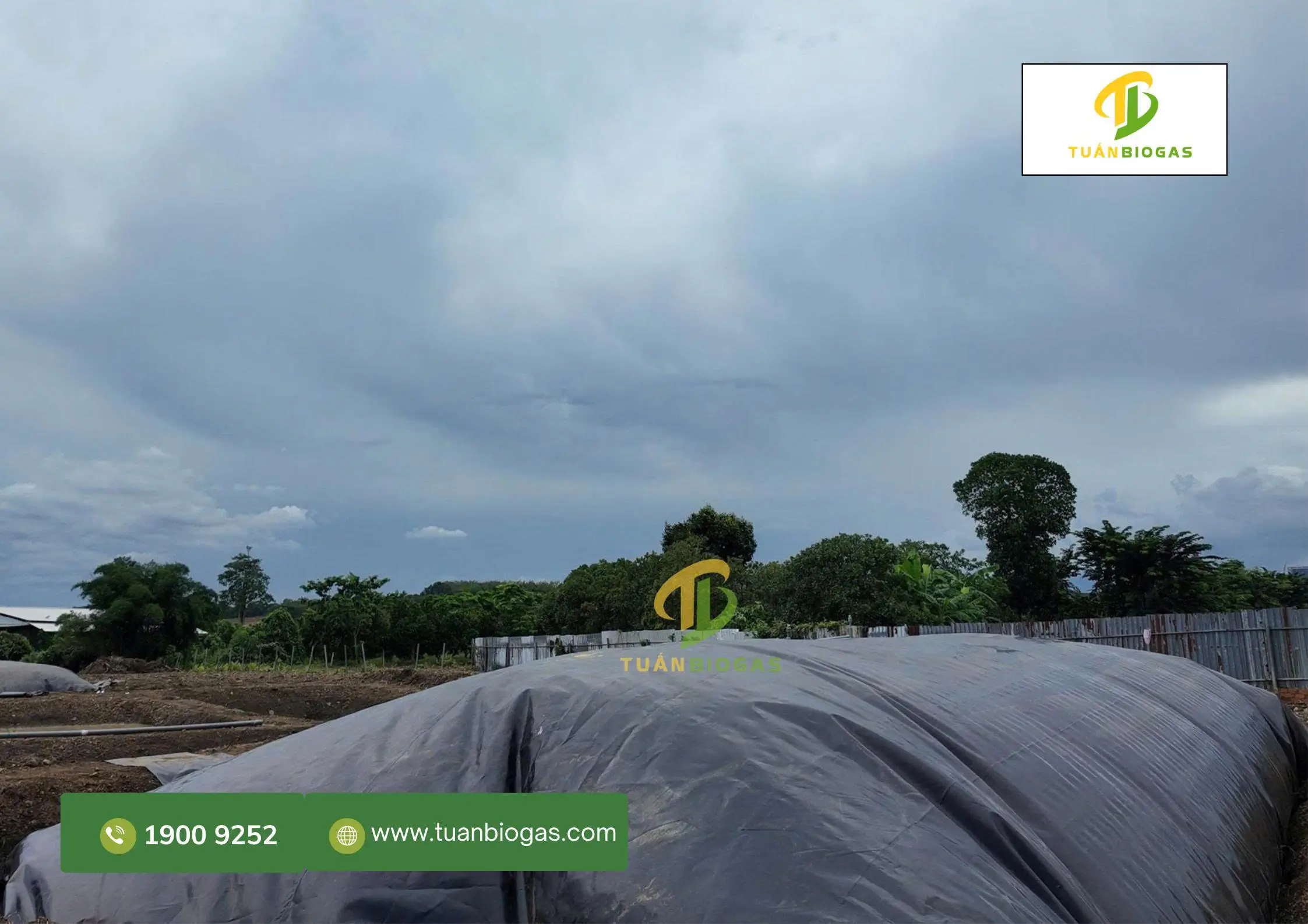 thời gian sinh học túi biogas
