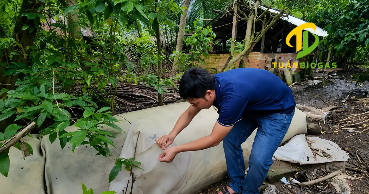 So sánh bạt túi biogas kém chất lượng và bạt HDPE nguyên sinh đạt chuẩn