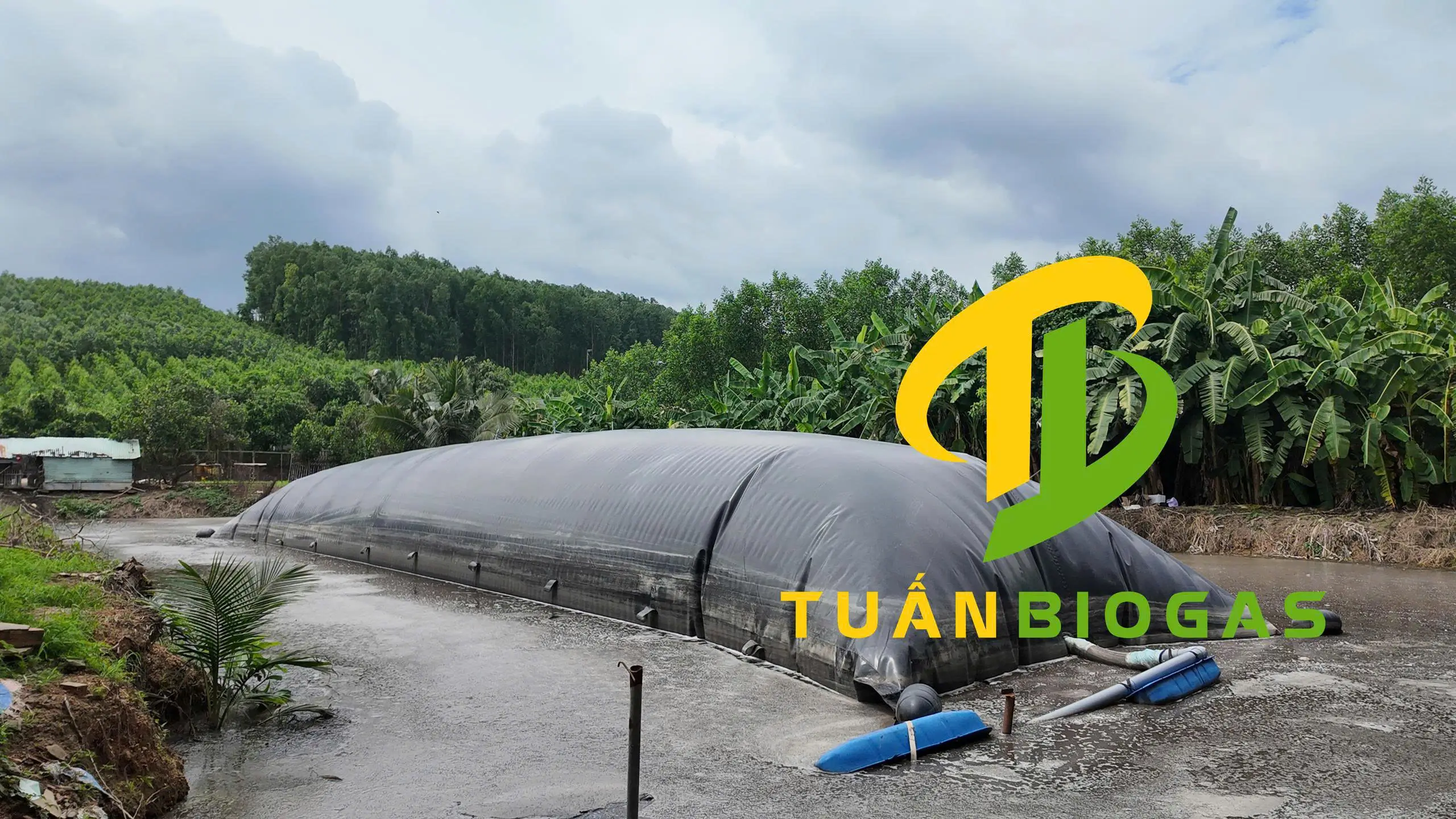 Cấu tạo túi biogas kín hoàn toàn giúp cô lập mùi hôi chất thải chăn nuôi