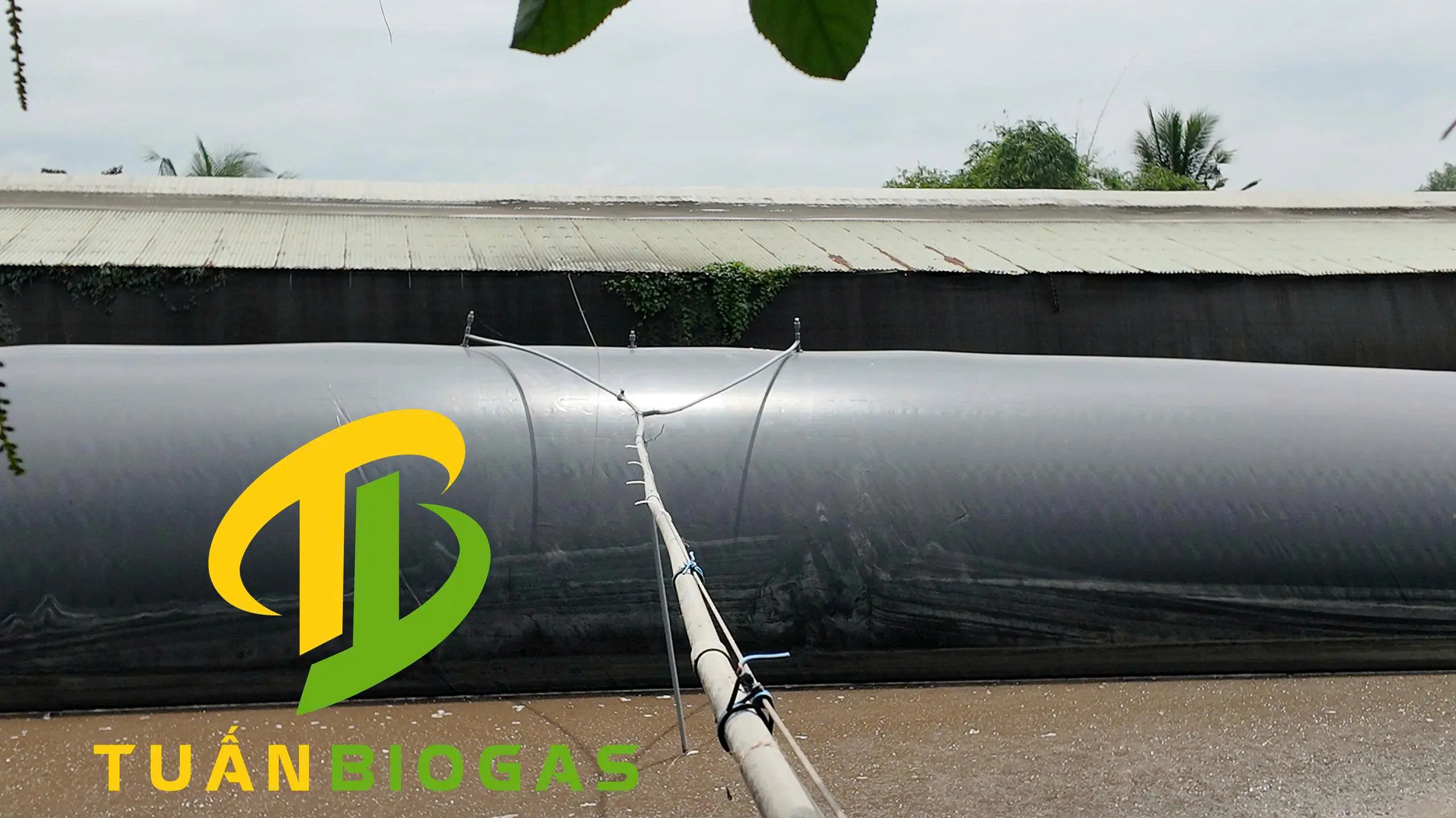 Công trình túi biogas nổi trên ao tại Vĩnh Cửu, Đồng Nai đã vận hành ổn định