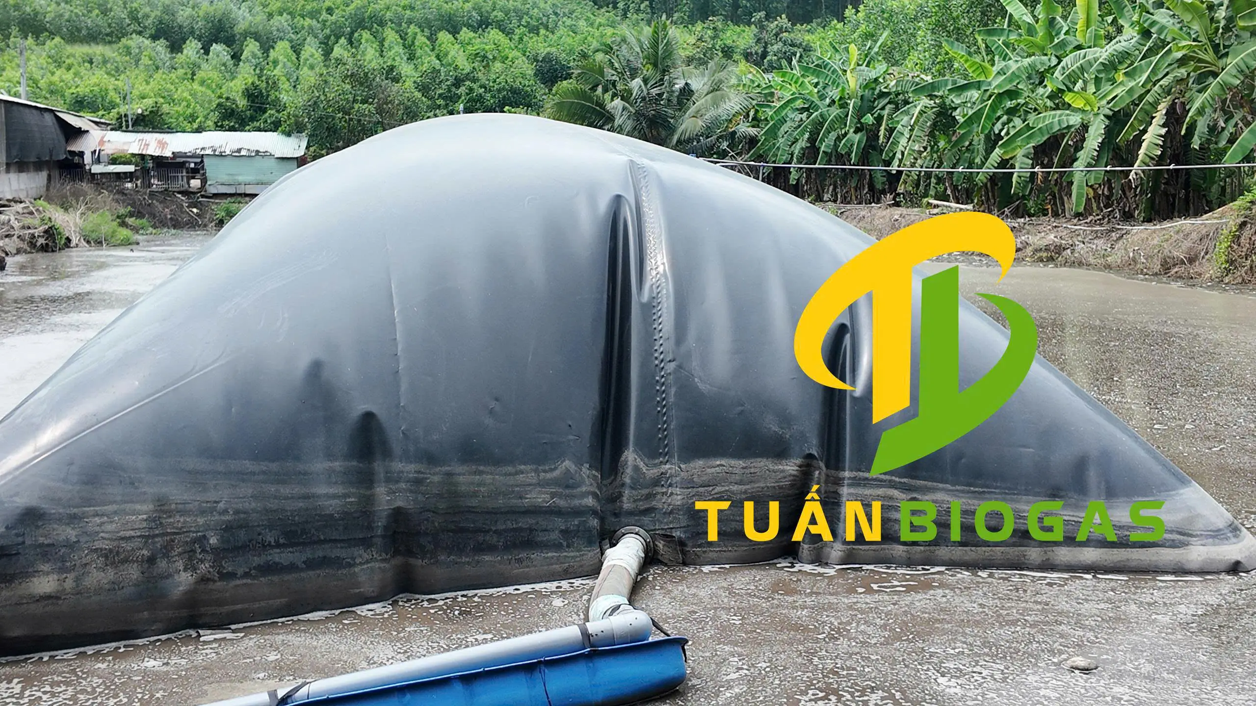 Kỹ thuật viên Tuấn Biogas khảo sát mực nước ao trước khi lắp túi biogas