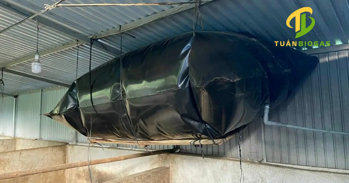 Túi trữ khí biogas kết nối với hệ thống giúp kéo dài thời gian đun nấu