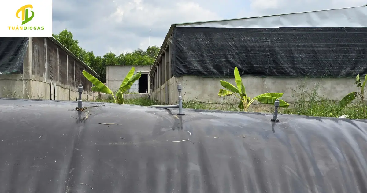 Cụm van điều áp tự nhảy lắp đặt độc lập trên đỉnh vòm túi biogas tròn