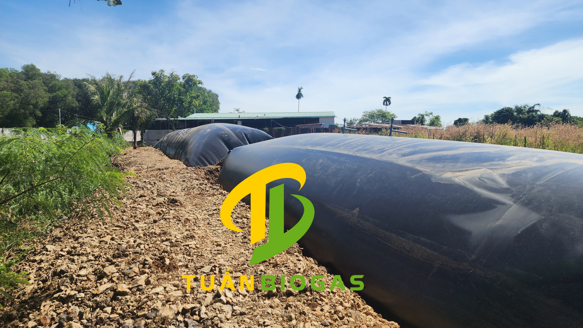 túi biogas 12 khối