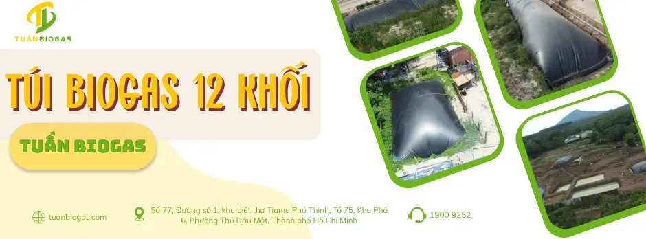 thumnail túi biogas 12 khối