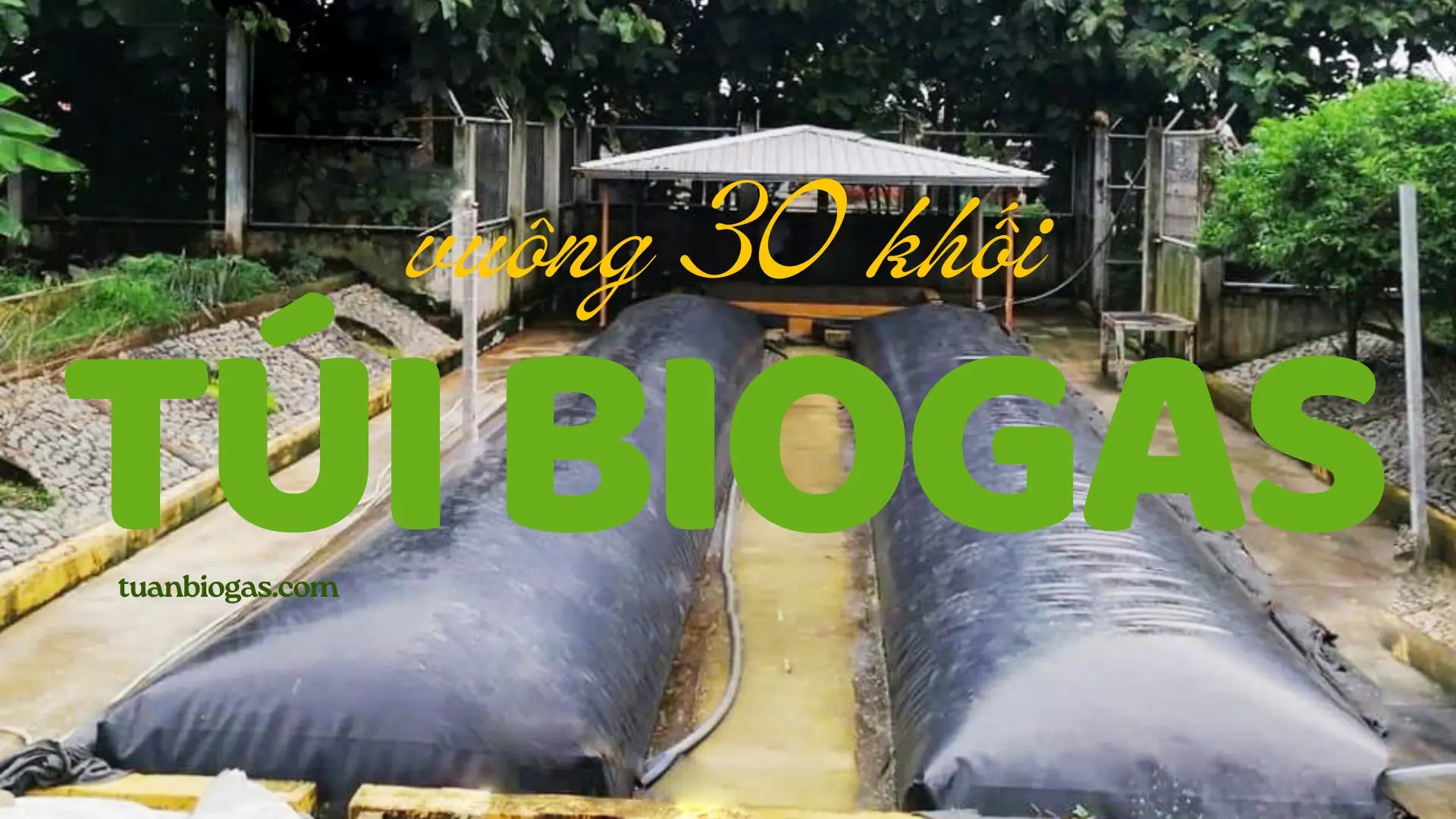 thumnail túi biogas vuông 30 khối