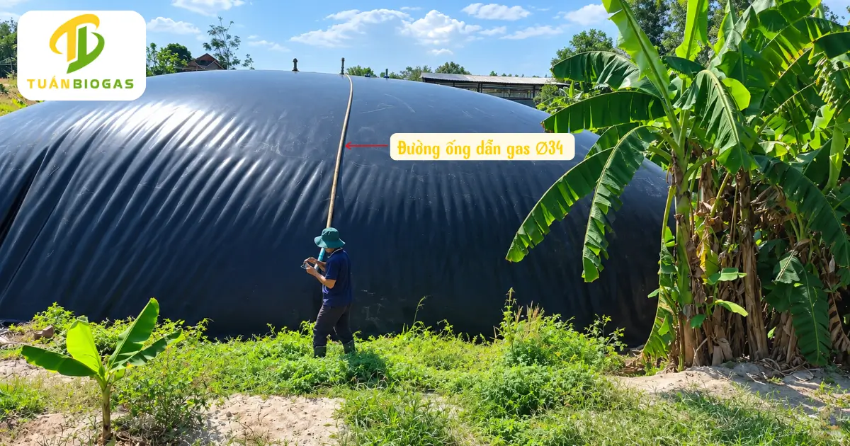 Đường ống dẫn khí gas PVC phi 34 kéo thẳng từ đỉnh túi về khu vực bếp nấu