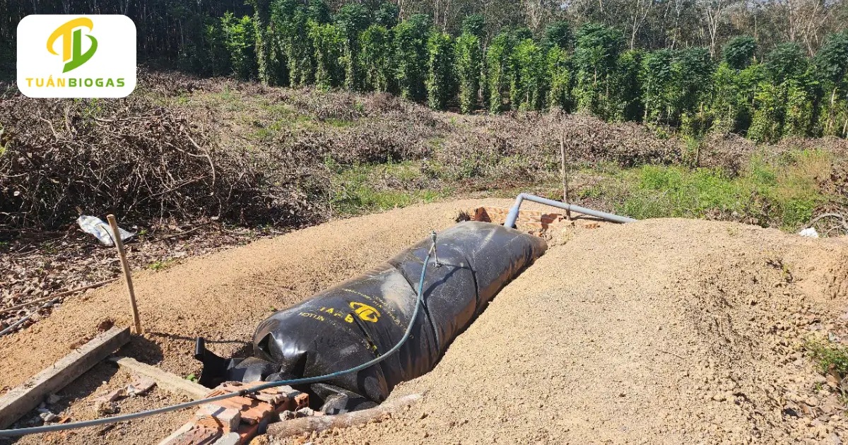 Túi biogas tròn cỡ nhỏ lắp tại hộ chăn nuôi