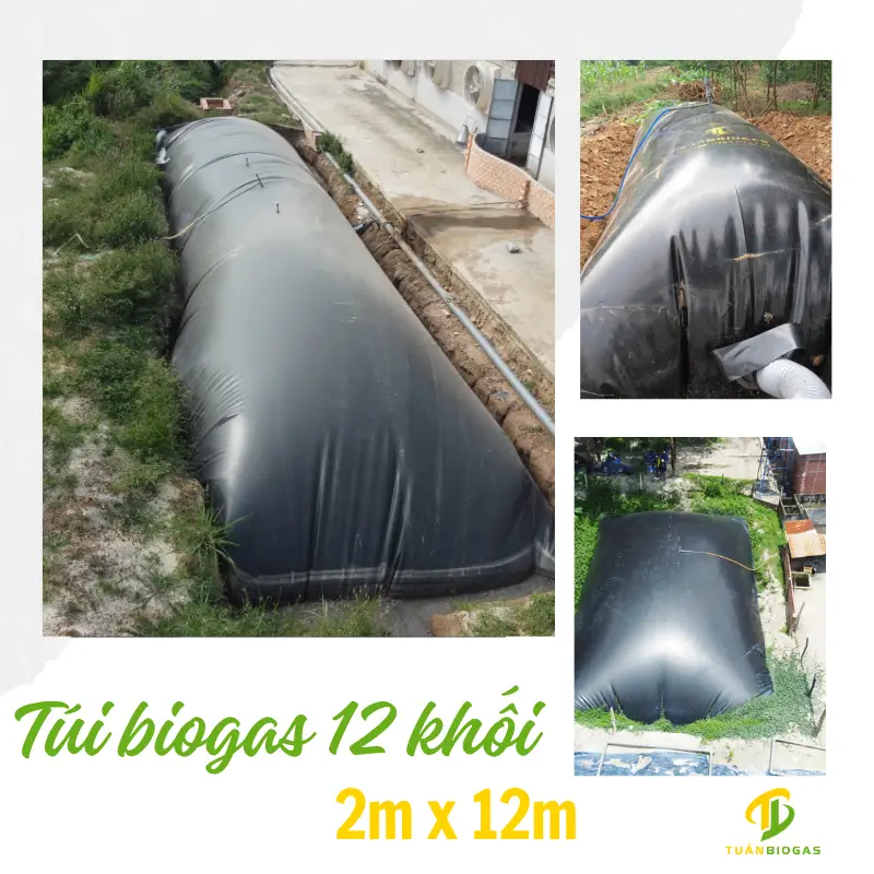 thumail túi biogas 12 khối