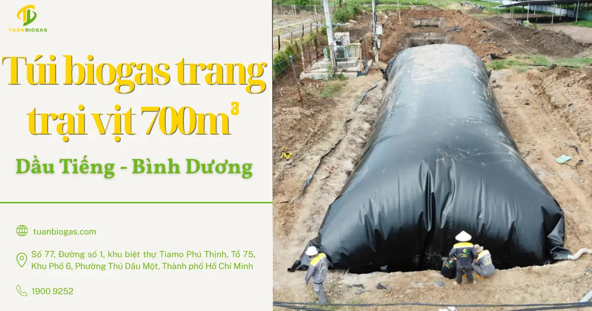 thumnail túi biogas trang trại vịt 700 khối bình dương