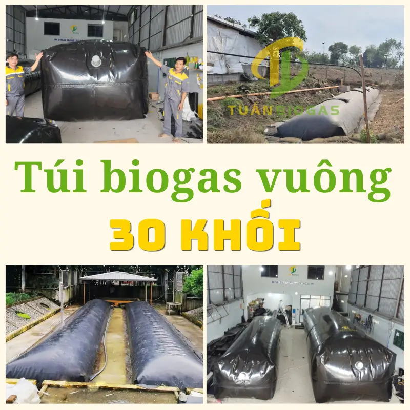 thumnail túi biogas vuông 30 khối