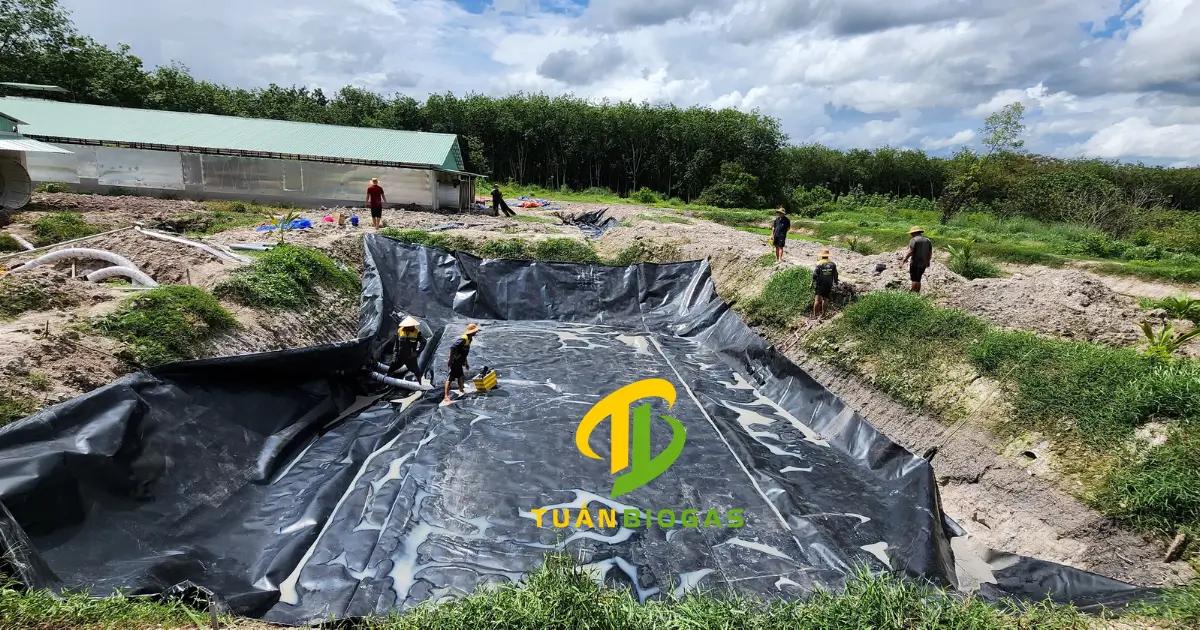 So sánh túi biogas có phần dư phồng khí và túi nằm sát đáy hố không có khí dự trữ