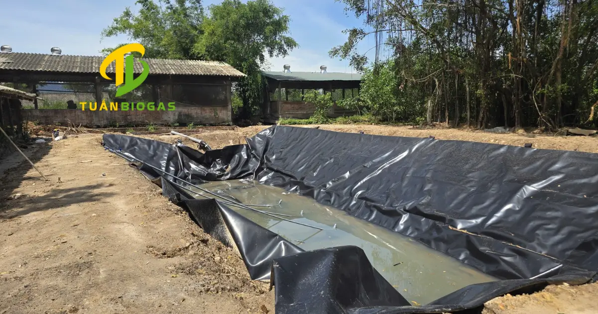 Túi biogas trải đều trên hố taluy đúng kích thước tiêu chuẩn
