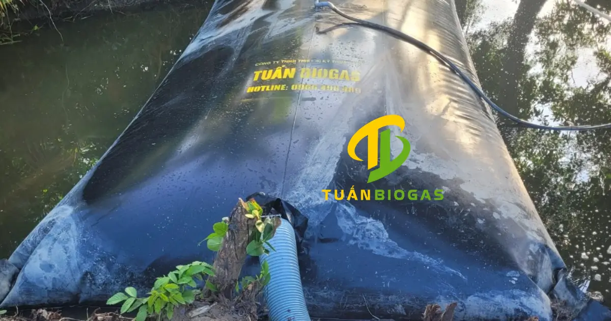 mô hình túi biogas thả nổi trên ao