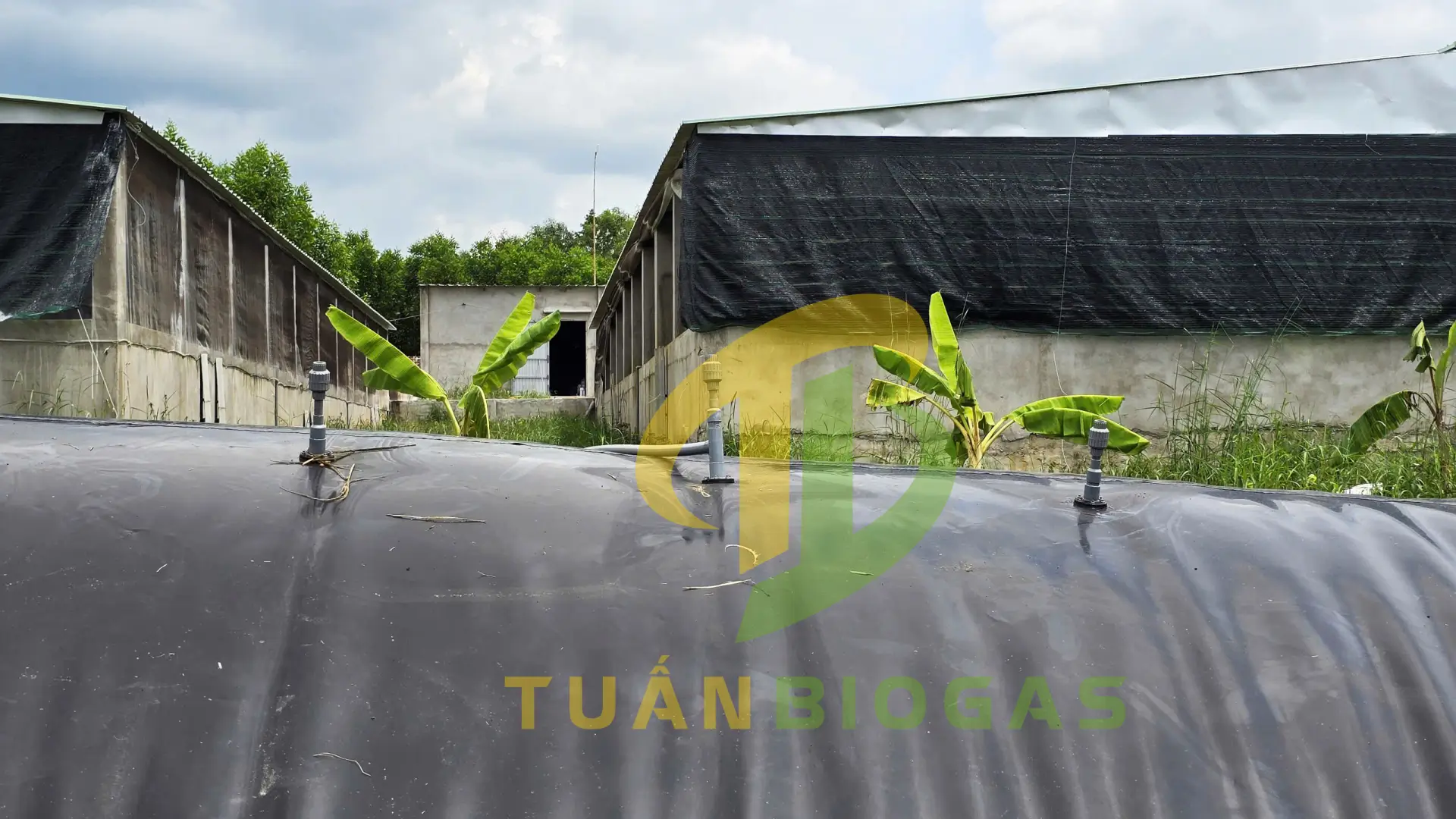 Cụm van điều áp tự xả lắp đặt trên đỉnh túi biogas lớn