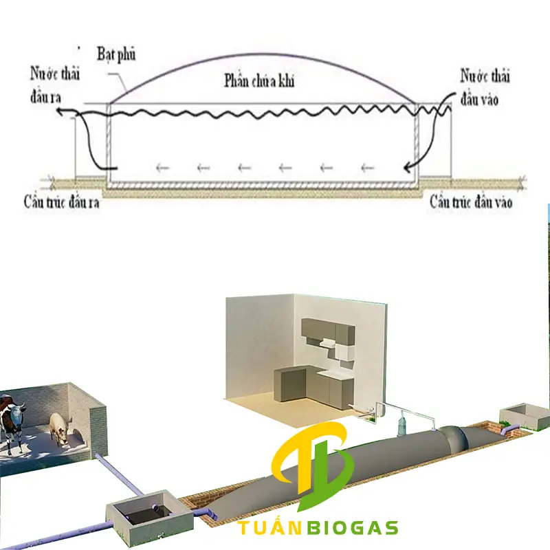 Mặt cắt mô phỏng tỷ lệ nước phân và khoang chứa khí gas trong túi biogas