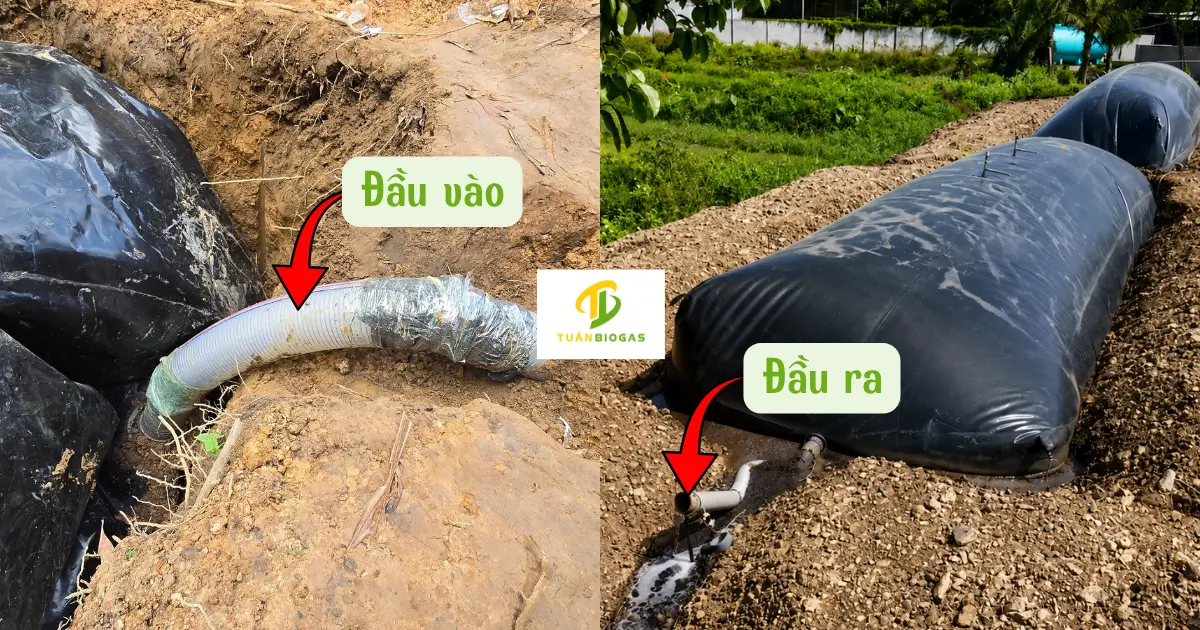 So sánh yêu cầu ống ruột gà giữa đầu vào và đầu ra của túi biogas
