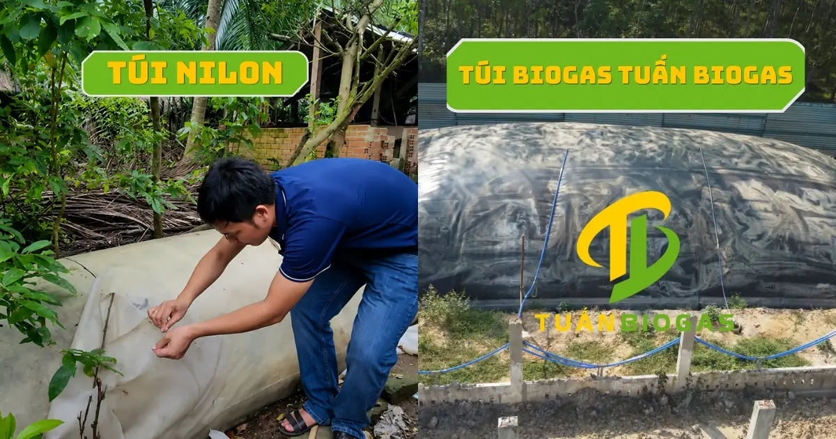 Bao nilon PVC bị mục hỏng sau thời gian sử dụng làm túi biogas tự chế