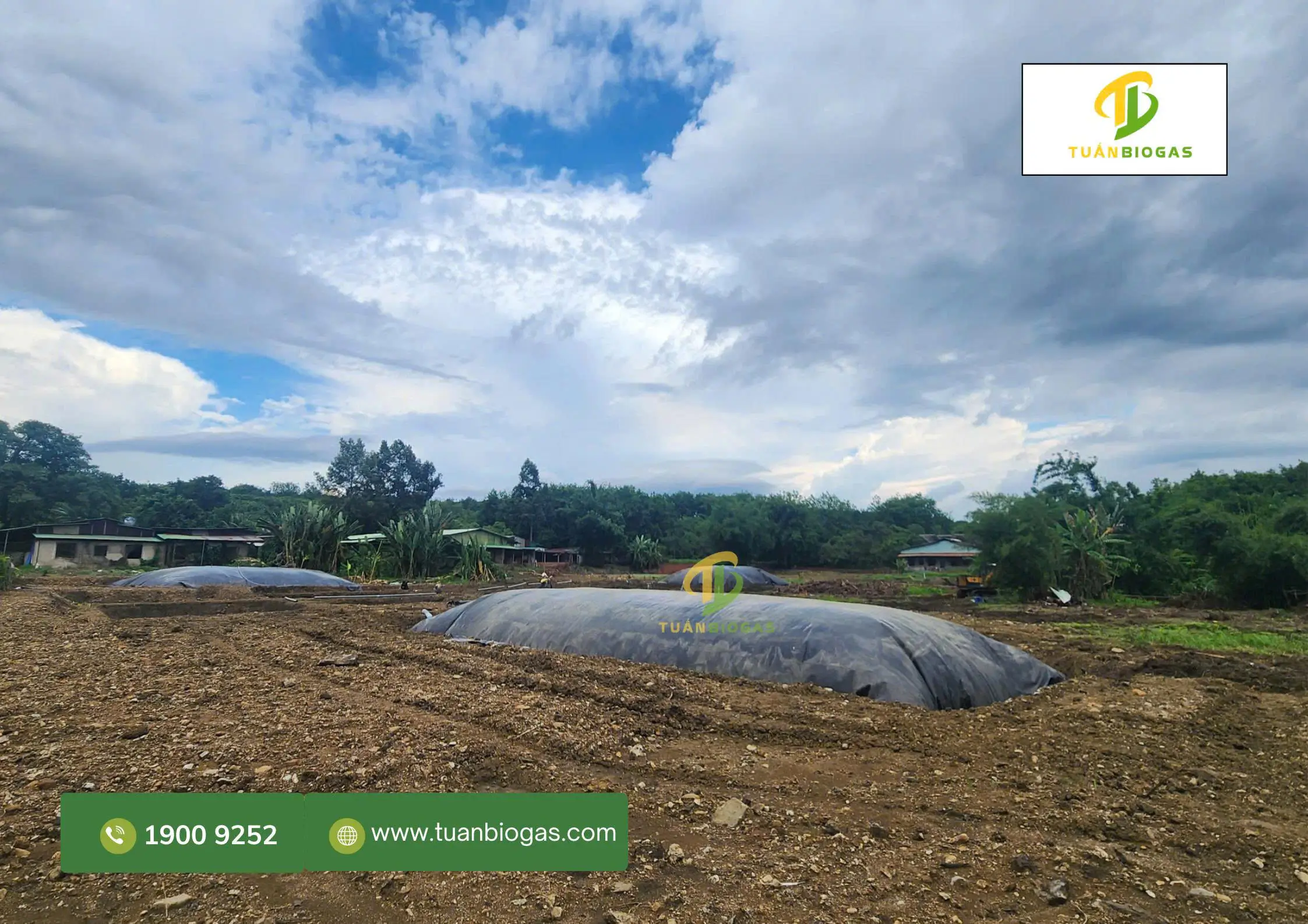 Nhiều túi biogas riêng biệt được bố trí gần từng khu chuồng trại